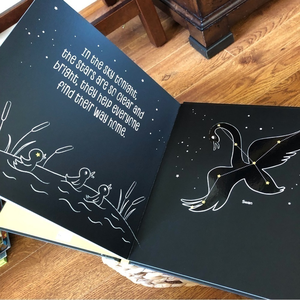 Children’s book: Starry Skies by: Samatha Chagollan hardback - Picture 3 of 7